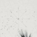 Linalab - Púlsar ()