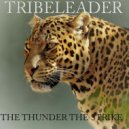 Tribeleader - DRILLER (Instrumental)