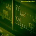 ralle.musik - Forgotten Frequency (99% 90s & early 2000s Techno)