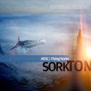 Sorkton - Flying Home ()