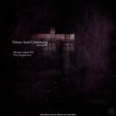 Nature Soul Cybertronic - Vyzar (Original mix)