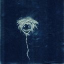 Alixx - The Curse of Xaint Xir-Walter (Side B)