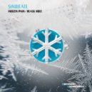Sindicate - Black Hole (Original Mix)