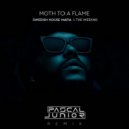Swedish House Mafia & The Weeknd - Moth To A Flame (Pascal Junior Extended Remix)