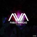 Pablo Artigas - Anasazi