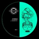 JT (Italy) - Walking The Circle