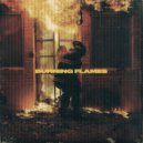 l19u1d - BURNING FLAMES