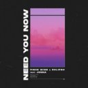 Piece Wise feat. Rolipso, Jonna - Need You Now