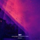 Vadim Adamov & Hardphol feat. Enjae - Sky