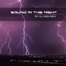 DJ Non Rex - Sound in the Night (vol.4) ()
