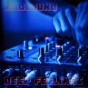Madsound - Deep Feelings