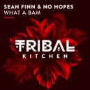Sean Finn & No Hopes - What A Bam