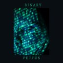 Pettus - Binary (Original Mix)