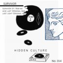 Hidden Culture ft. ROB-IIN - Survivor