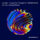 LevyM - Ayana