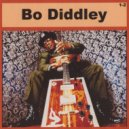 Bo Diddley - Stop The Pusher