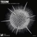 Ovnimoon and 3 Access & You - TEOM