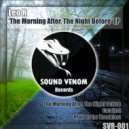 Leo R - The Morning After The Night Before ()