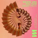 Lost Frequencies & Calum Scott - Where Are You Now