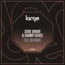 Sebb Junior & Sammy Deuce - Feel So Right