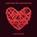 Deeplastik - Like a Fire (Original Mix)