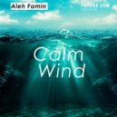 Aleh Famin - Calm Wind