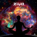 ZivO - Acid