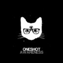 OneShot - Awareness