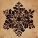 SALMIAK - Several Causes