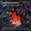 Darksidevinyl - Monkey Ice Cream