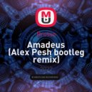 Brosso - Amadeus