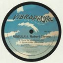 Nebula featuring Robert Owens - Same As Me (Nick Mental Dub Mix)