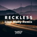 Gareth Emery - Reckless