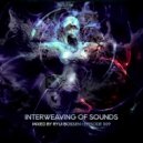 Sound of Salman - Intelligentsia