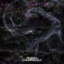 Odagled, Not Demure - Distork