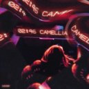 OBLXKQ feat. SLXEPING TOKYO - CAMELLIA