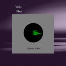 VS51 - Play (Original Mix)