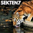Sekten7 - LIGHT BRINGER (Original mix)
