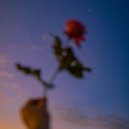 J.R.L. - Violets ()