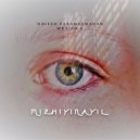 Naveen Parameswaran & Wraith V - Mizhiyinayil