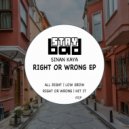 Sinan Kaya - Low Grow (Original Mix)