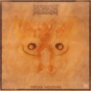 Manthom Phenace - Frog Moths (Original Mix)