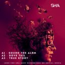 SHA - True Story (Original Mix)