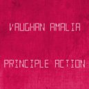 Vaughan Amalia - Principle Action (Original mix)