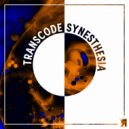 Transcode - Floki