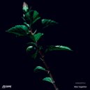 Hwootch - Rise Together