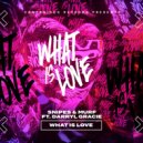 Snipes & Murf - What Is Love (Extended Mix)