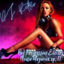 DJ Retriv - Big Progressive Electro House Megamix ep. 11 ()