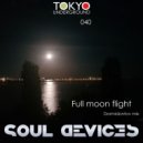 Soul Devices - Full moon flight (Dormidontov mix)