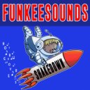 FunkeeSounds - Shake Down (Original Mix)